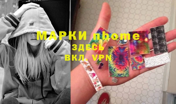 хмурый Белая Холуница