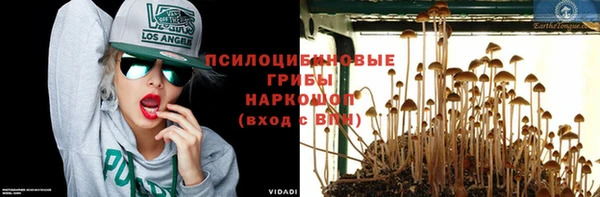 винт Михайлов